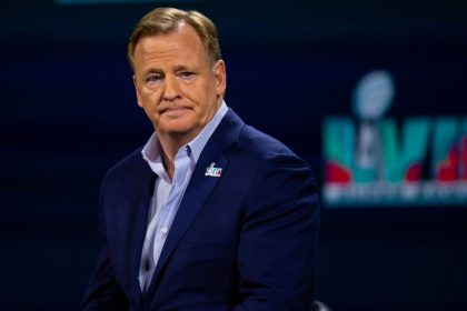 NFL's Goodell on officiating: Never been better