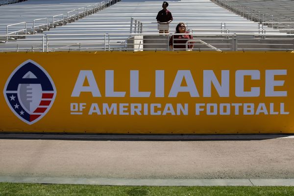 Ex-Vikes part owner gets 6 years in AAF scam