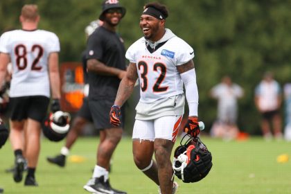 Source: Bengals RB Williams out a couple weeks
