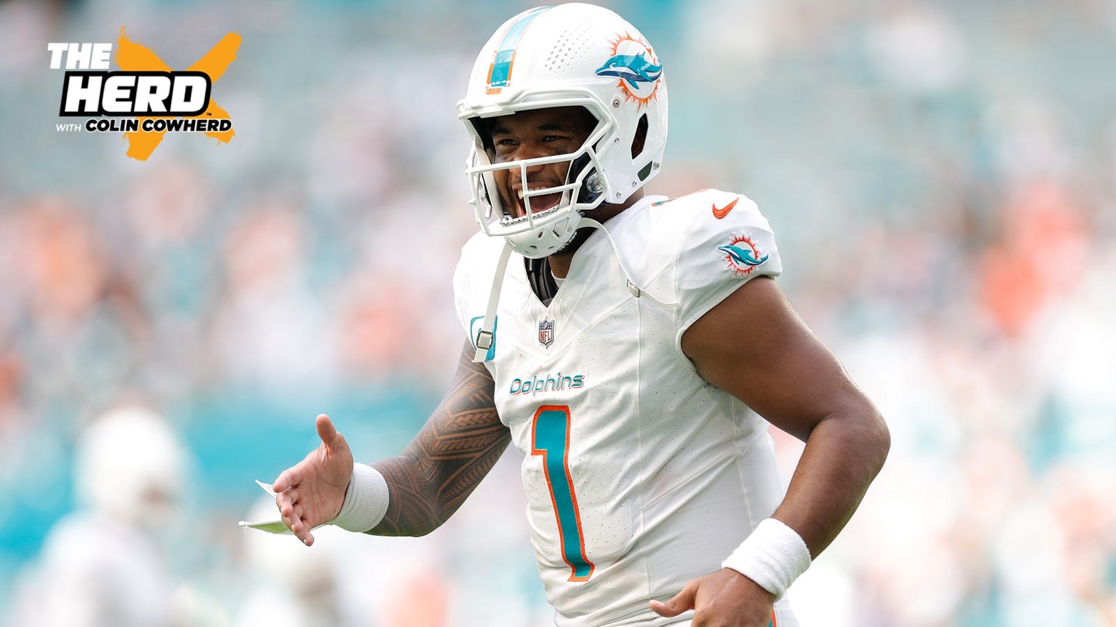 Are Dolphins the best team in the NFL? 