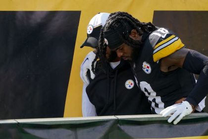 Source: Steelers' Johnson to miss a few weeks