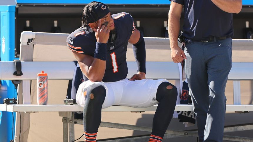 Notable Bets: Bettors' costly offseason love affair with the Bears