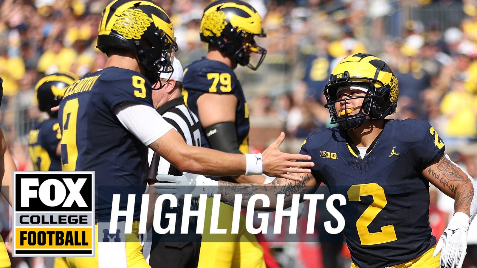 Michigan's Top 10 plays of the 2023 season