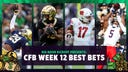 Notre Dame vs. Wake Forest, Utah vs. Arizona best bets, predictions, odds | Bear Bets