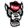 North Carolina State Wolfpack