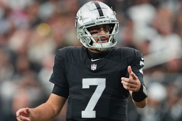 Source: Raiders release QB Hoyer after 1 season