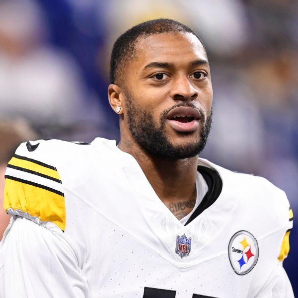 Steelers release WR Robinson after one season