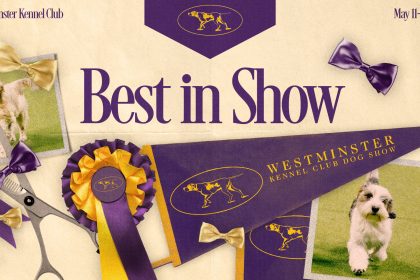 2024 Westminster Dog Show: Live breed results, group winners, Best in Show