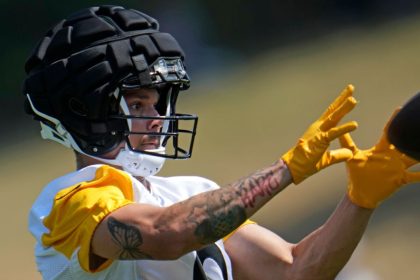 Source: Steelers' Wilson (ankle) 'week-to-week'