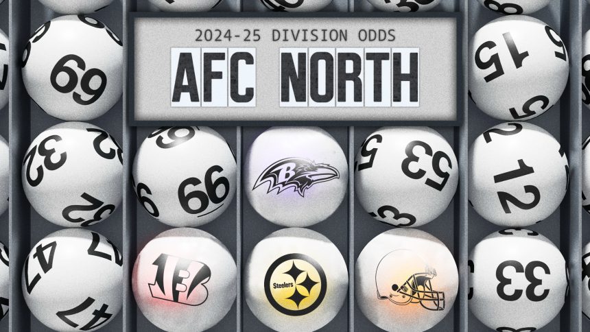 2024-25 AFC North Division odds: Bengals, Ravens co-favorites