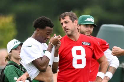 Rodgers, Wilson downplay animated discussions