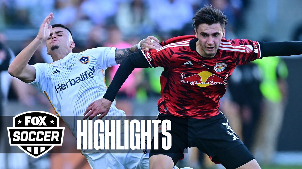 MLS Cup Final: L.A. Galaxy vs. New York Red Bulls highlights | FOX Soccer 