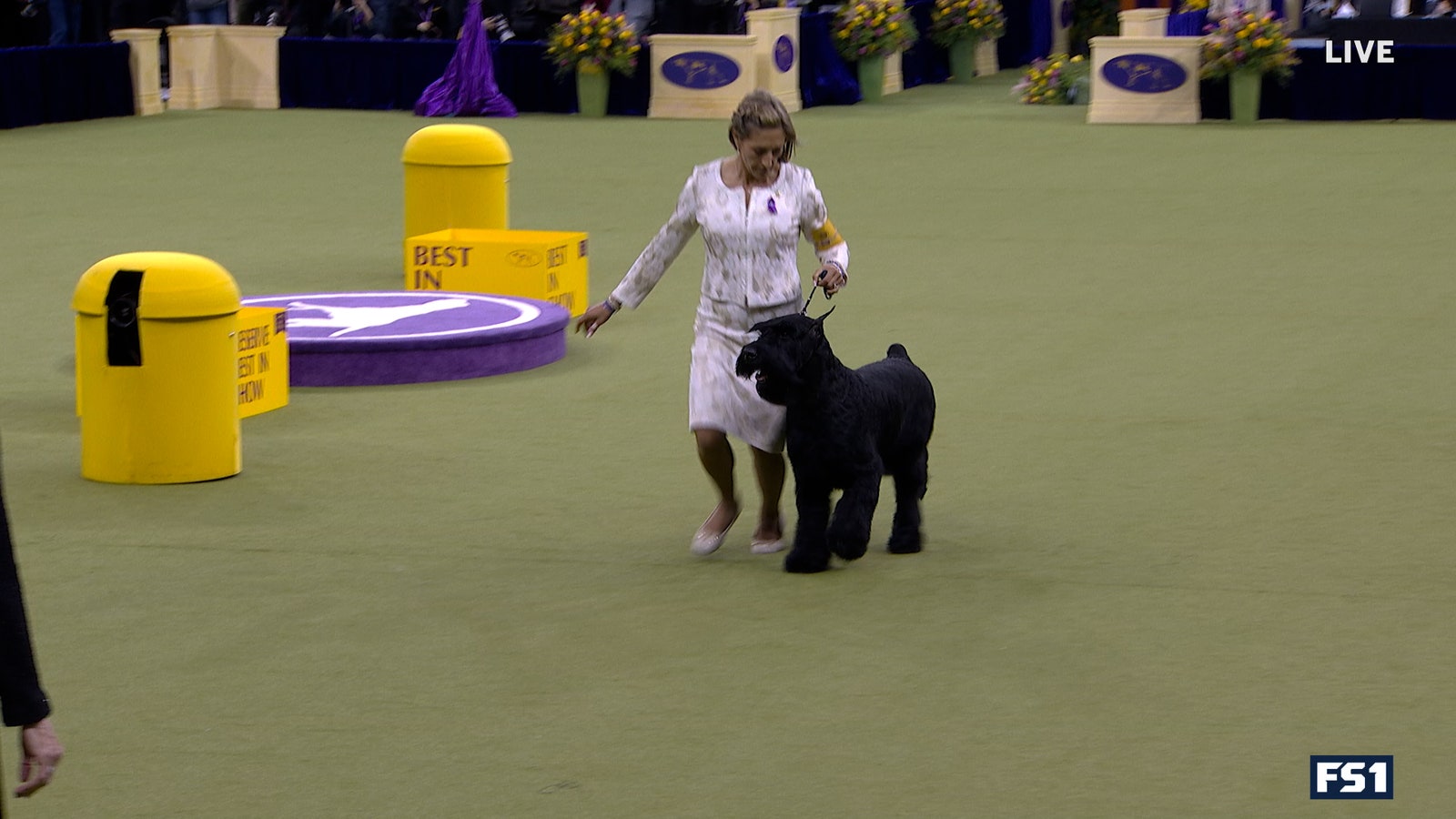 2025 Best In Show Full Event | Westminster Kennel Club