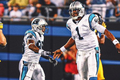 Steve Smith Sr. fires back at Cam Newton for calling Panthers 'losers'