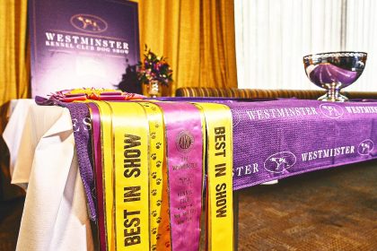 Westminster Kennel Club Dog Show: Best in Show winners, breeds by year