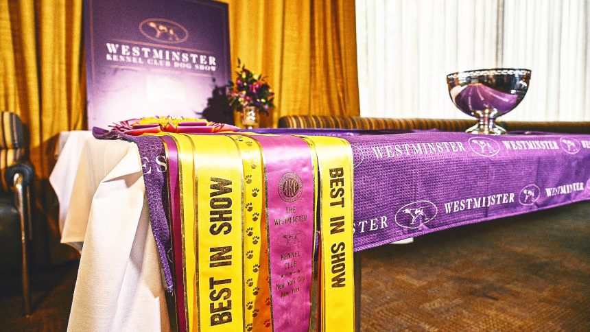 Westminster Kennel Club Dog Show: Best in Show winners, breeds by year