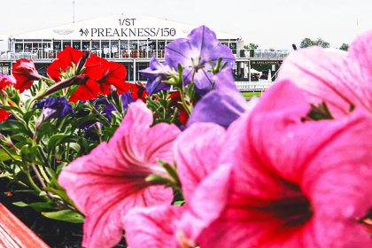 2025 Preakness Stakes odds: Sharps ponying up to back Clever Again