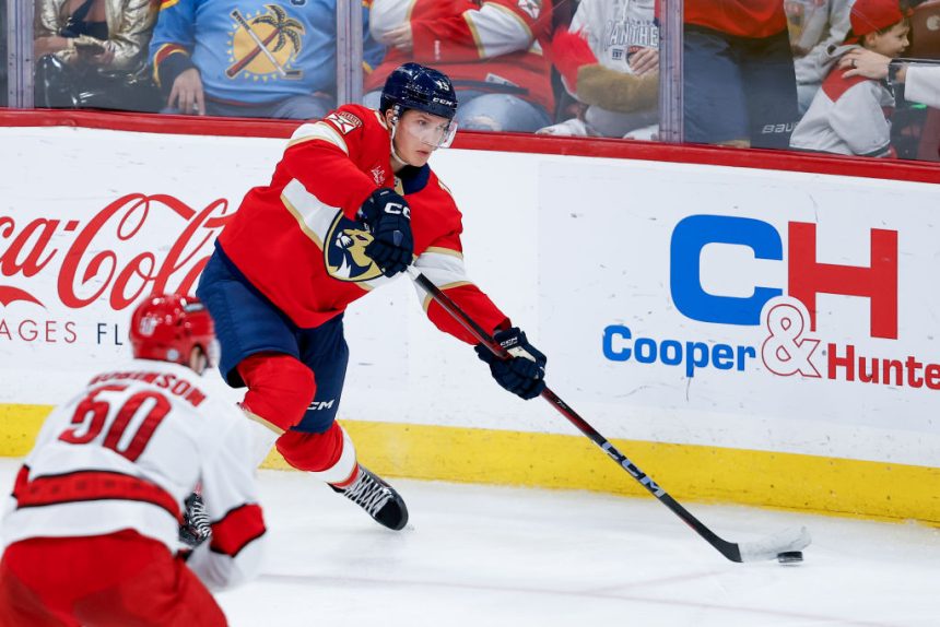 Hurricanes vs. Panthers: Playoff series schedule, scores, TV channel, how to watch