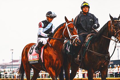 Journalism opens as 8-5 morning line favorite for 150th Preakness Stakes