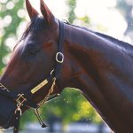 Why is 2025 Belmont Stakes in Saratoga Springs, New York?