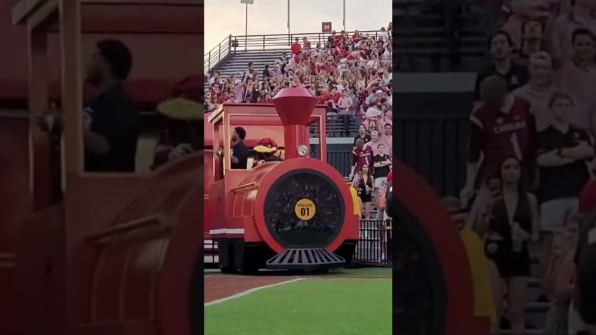 McGee's Mascot Power Rankings: The best of the fun and furry in college football