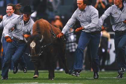 Colorado's Live Mascot Ralphie VI Retires, Replacement Still in Training