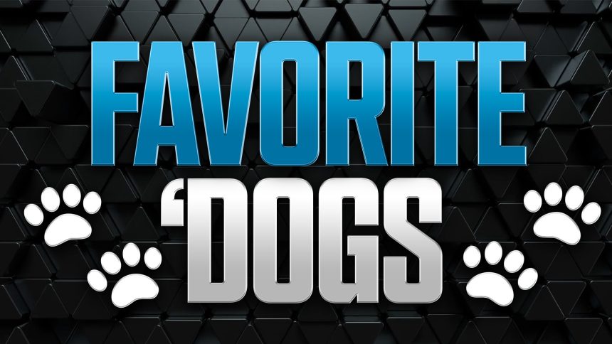 Favorite 'Dogs: Back Joe Burrow-less Bengals to Cover in Minnesota
