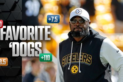 Favorite 'Dogs: Back Mike Tomlin, Steelers at Bears; Mizzou at OU