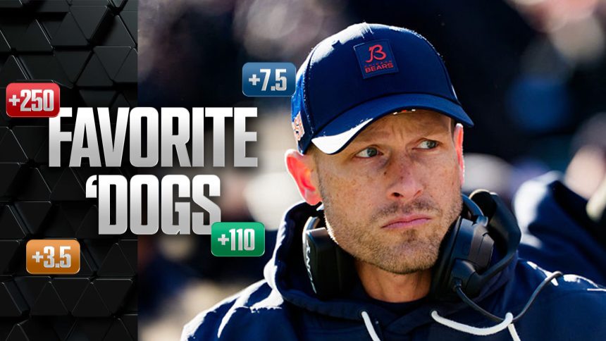 Favorite 'Dogs: Back Home Bears Against Rams, Miami to Upset Indiana
