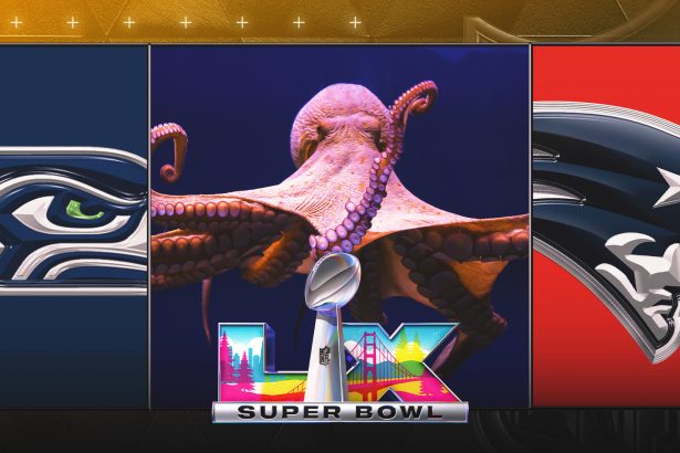 2026 Super Bowl Odds: Brief History of the Novel Octopus Prop Bet