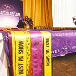 Westminster Kennel Club Dog Show: Best in Show Winners, Breeds by Year