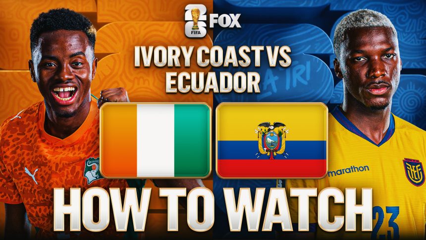 Ivory Coast vs. Ecuador: How to Watch, TV Channel, Live Stream